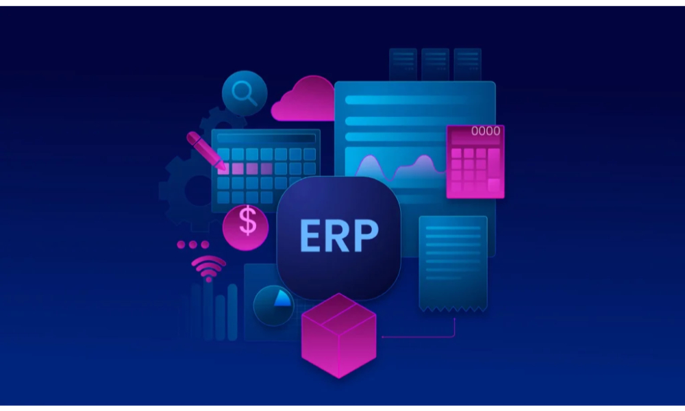 How ERP Project Management Services Help Businesses Achieve Their Goals